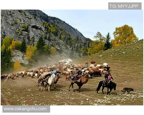 足球明星瞬间转场图揭示他们背后的故事与荣耀时刻